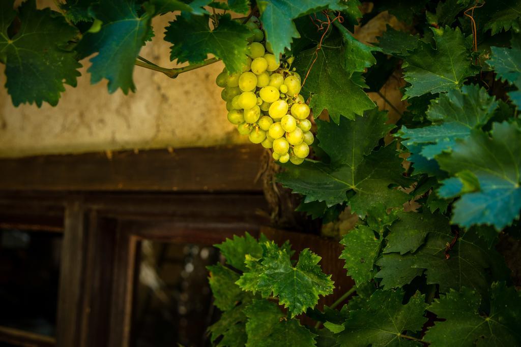 Chateau Le Bouis Gruissan Zewnętrze zdjęcie
